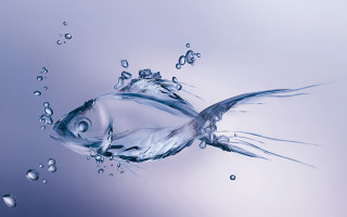 Fish swimming blue water bubbles - a blue water free wallpaper