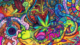 Colorful painting fish body bottom - other thing free wallpaper