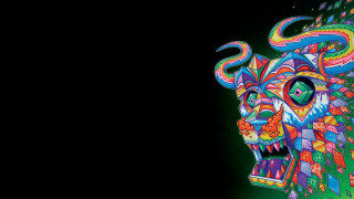 Colorful dragon head black green - ai weiwei free wallpaper