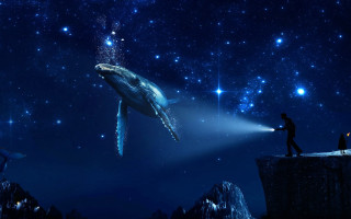 Man woman cliff whale sky - cliff childs free wallpaper
