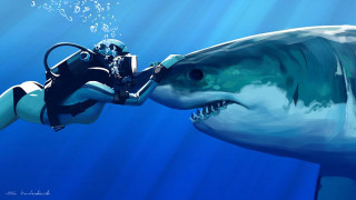 Man diving suit kissing shark 3 - aaron jasinski free wallpaper
