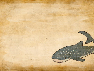 Whale long tail large mouth - a beige background free wallpaper