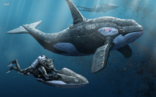 Man swimming whale water scuba - a whale free wallpaper