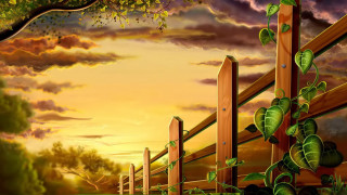 Fence tree leaves sunset dawn - cyril rolando free wallpaper for desktop