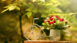 Small bicycle flower pot table - top of it free wallpaper