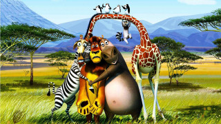 Animals group field grass mountains - a group of animals free wallpaper