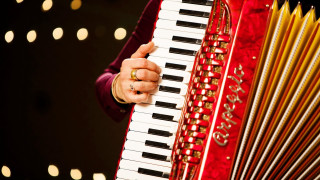 Person holding red accordion black - white circle free wallpaper