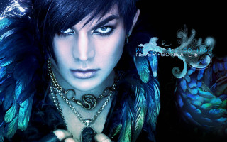 Woman feathered jacket necklace dragon - gothic art free wallpaper for desktop