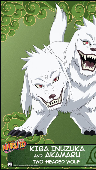 Two white dogs fangs open - their face free wallpaper