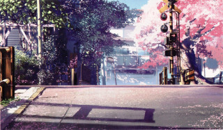 Street trafficlight pinkflowers bridge cityscape - a bridge in the background free wallpaper