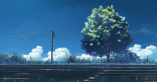 Tree field powerlines blue sky - the middle of a field free wallpaper