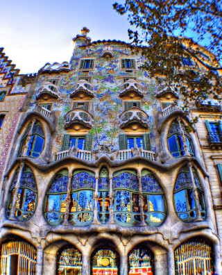 Building windows clock tree front - the front of its free wallpaper