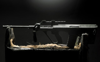 Gun fur covering table dark - anton graff free wallpaper