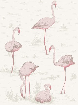Flamingos beach water grass sandy - sandy free wallpaper