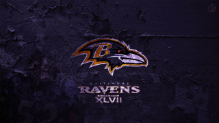 Baltimore ravens wall dark background - cleve gray free wallpaper