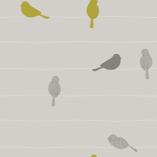 Birds tree branch field grass - bird free wallpaper