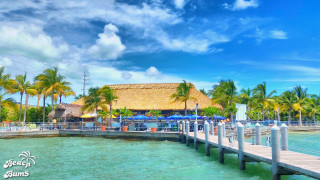 Pier thatched roof palm trees - a pier free wallpaper