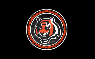 Tiger head red black circle - logo free wallpaper