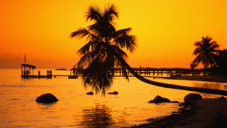 Palm tree sunset ocean pier 2 - palm tree free wallpaper