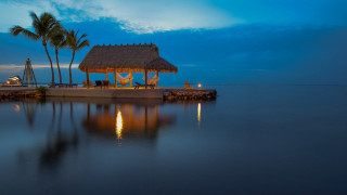 Dock thatched roof palm tree - full free wallpaper
