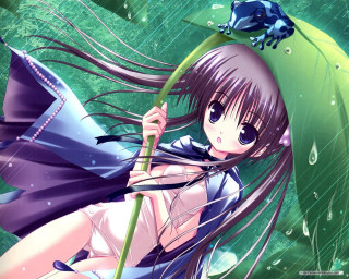 Girl umbrella rain frog head - a frog free wallpaper