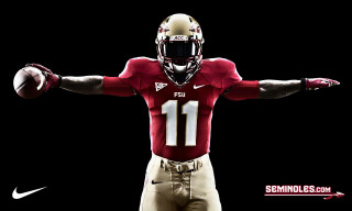 Football player arms out hands - his hands out in the air free wallpaper