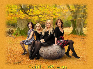 Women sitting rock forest leaves - a rock in a forest free wallpaper