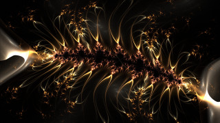 Yellow brown flower black background - mandelbrot fractal free wallpaper