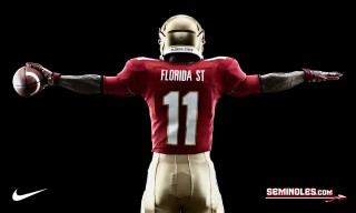Football player arms outstretched holding - dennis flanders free wallpaper