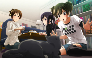 Group couch room cat floor - a couch in a room free wallpaper