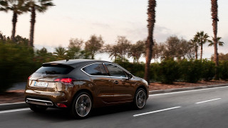 Brown car road palm trees - a brown car free wallpaper