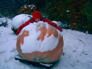 Young boy pumpkin snow red - young free wallpaper