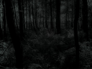 Dark forest full moon tonalism - a full moon in the distance free wallpaper