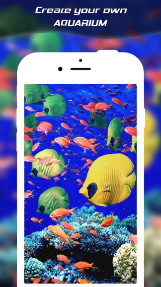 Phone fish picture create your - a phone free wallpaper