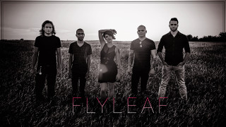 Group people field fly leaf - epsylon point free wallpaper