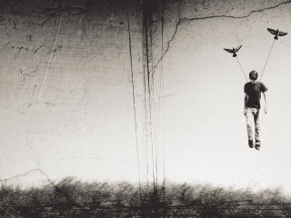 Man suspended wire birds air - a wire free wallpaper