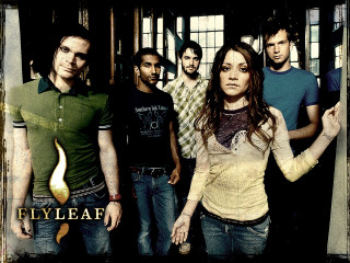 Group people room fire middle - david boyd free wallpaper