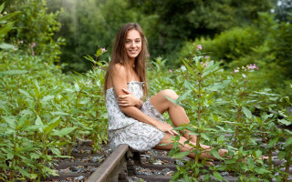 Woman sitting rail field flowers - a picture free wallpaper for desktop