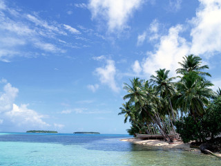 Tropical island palm trees boat 2 - a tropical island free wallpaper