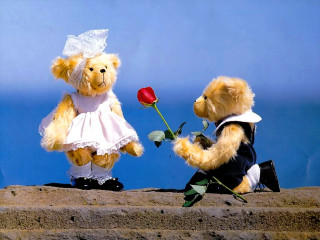 Teddy bears wedding attire rose - romantic free wallpaper