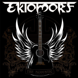 Black white poster guitar wings - a guitar free wallpaper