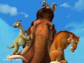 Animals riding horse squirrel back - a group of animals free wallpaper