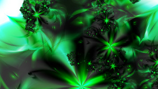 Green flower digital bamboo blurry - a computer free wallpaper for desktop
