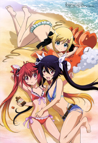 Anime girls beach cat dog - the beach free wallpaper