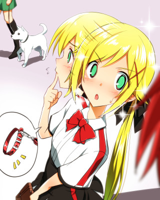 Alice cat dog schoolgirl anime - her free wallpaper