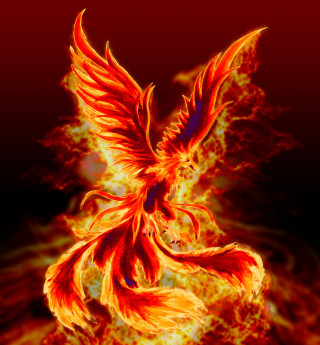 Fire bird flames wings autumn - fantasy art free wallpaper