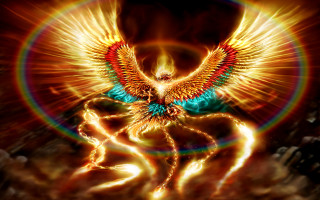 Bird halo neck wings painting - a halo free wallpaper