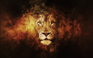Lion dark background yellow light 2 - a yellow light free wallpaper