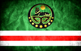 Cat flag red stripe green - the bottom of the flag free wallpaper