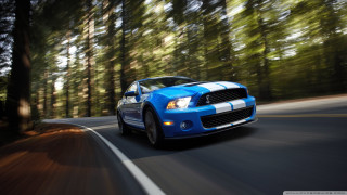 Blue car driving road forest 7 - a forest of trees free wallpaper